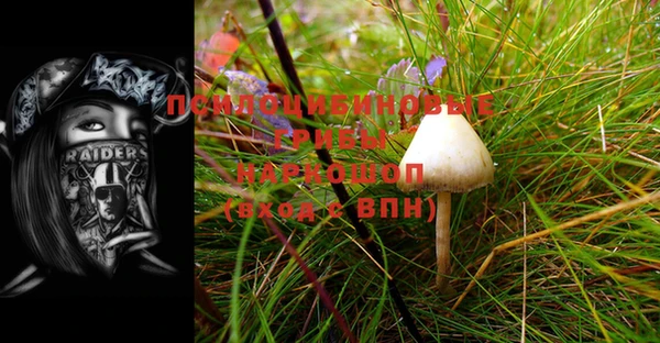мдма Коряжма